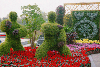 圖片關鍵詞 圖片關鍵詞